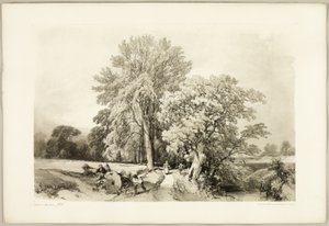 Abele i Dąb, z filmu Park i las autorstwa James Duffield Harding