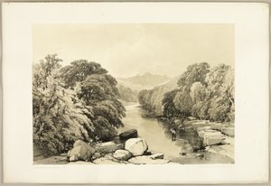 Jesion, Jawor i Dąb, z filmu Park i Las autorstwa James Duffield Harding