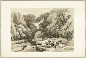 Jesion i Olcha nad Gretą, z filmu Park i Las autorstwa James Duffield Harding