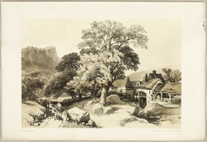 Jesion i dąb, z filmu Park i las autorstwa James Duffield Harding