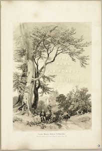 Buk i Dąb (Frontispiece), z Parku i Lasu autorstwa James Duffield Harding
