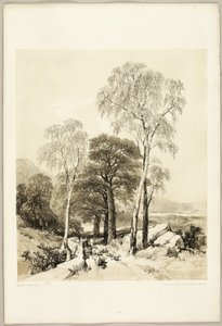 Brzoza i Dąb, z Parku i Lasu autorstwa James Duffield Harding