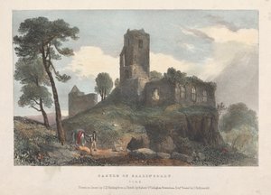 Zamek Ballincolly autorstwa James Duffield Harding