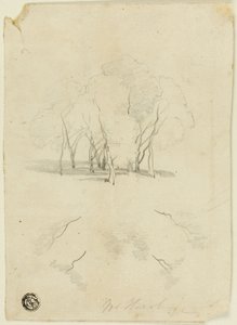 Kępka Drzew autorstwa James Duffield Harding