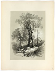 Shipley Bridge, Devon, z Picturesque Selections autorstwa James Duffield Harding