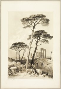 Kamienne Sosny, z Parku i Lasu autorstwa James Duffield Harding
