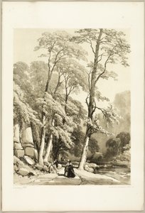 Jawor, z Parku i Lasu autorstwa James Duffield Harding