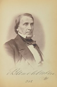 Elihu B. Washburne autorstwa James Earle McClees
