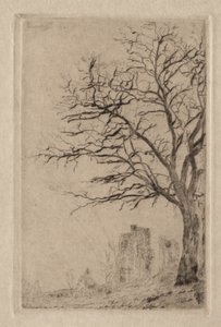Akacja autorstwa James Ensor