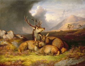 Highland Felicity, Ben Lebrig w tle