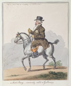 Scotch Poney, powszechnie nazywany Galloway, opublikowany przez Hannah Humphrey w 1803 r. (akwaforta ręcznie kolorowana)