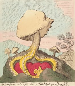 Wyrost; – Grzyb; – Inaczej – Grzyb trujący na kupie obornika autorstwa James Gillray