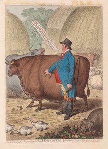 Tłuste Bydło, wyd. 1802 (grawerowanie ręcznie kolorowane)