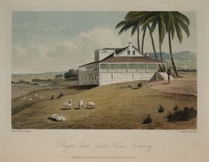 Bryan Castle, Great House, Trelawny Puola