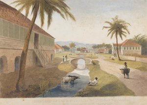 Holland Estate, St. Thomas in the East, Jamajka [Jeden z]
