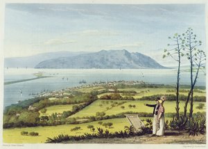 Kingston i Port Royal z farmy Windsor, z „A Picturesque Tour of the Island of Jamaica”, grawerowane przez Thomasa Sutherlanda, 1825