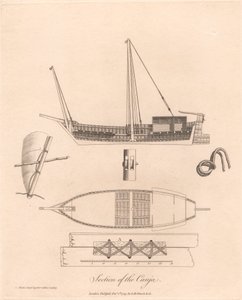 Sekcja Canja autorstwa James Heath