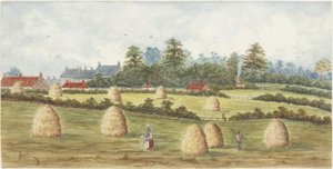 Chirton z Meadowell Farm (akwarela i body na papierze)