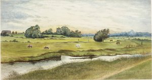 Ryton Meadows (akwarela i bodycolor na papierze)