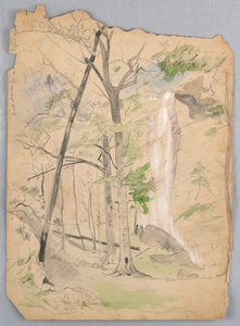 Wodospad autorstwa James Henry Moser