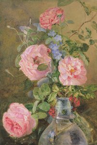 Róże, Convolvulus i Delphiniums