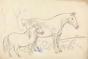 Cavalo e Ponypolish