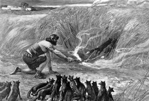 Samson i lisy J James Tissot - Biblia