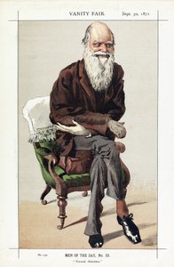 Charles Darwin, Men of the Day, nr 33, Natural Selection, z Vanity Fair, wyd. 1871 autorstwa James Jacques Joseph Tissot
