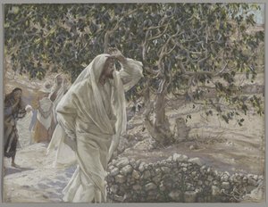 Przeklęte drzewo figowe, ilustracja z Życia naszego Pana Jezusa Chrystusa, 1886-94 (wc nad grafitem na papierze) autorstwa James Jacques Joseph Tissot