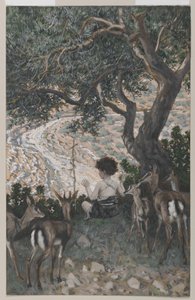 Dzieciństwo św. Jana Chrzciciela, ilustracja z Życia Pana naszego Jezusa Chrystusa (wc nad grafitem na papierze) autorstwa James Jacques Joseph Tissot