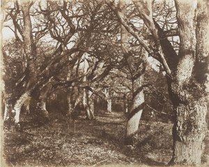 Peep w Leigh Woods, 1853-56.