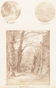 Podejście, w lesie, nad jeziorem, 1853-56.