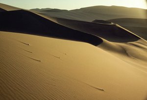 Widok na ostro ścięte wydmy w pobliżu Dunhuang. Prowincja Gansu, Chińska Republika Ludowa. autorstwa James L Stanfield