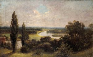 Widok na pola szynki ze szczytu Richmond Hill