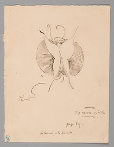 Motyl (recto); Fragment motyla (verso) autorstwa James McNeill Whistler