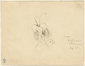 Motyl autorstwa James McNeill Whistler