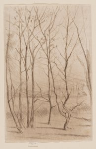 Las Tamy autorstwa James Abbott McNeill Whistler