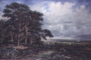 Bradgate Park w pobliżu Leicester, akwarela
