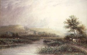 Szczaw górski, Leicester