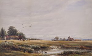 Staw Wiejski