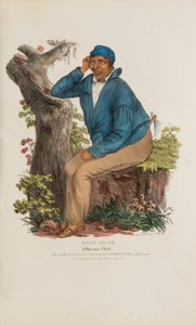 BILLY SHANE; Wódz Shawnee, z aborygeńskiego portfolio autorstwa James Otto Lewis