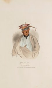 CHA-CO-TO, Wódz Pottowattomie, z Portfolio Aborygenów autorstwa James Otto Lewis