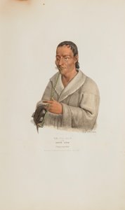 KE-WA-DIN lub Północny Wiatr; Wódz Chippeway, z aborygeńskiego portfolio autorstwa James Otto Lewis