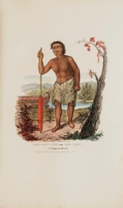 MEN-DOW-MIN lub Kukurydza; karzeł Chippewa, z aborygeńskiego portfolio autorstwa James Otto Lewis
