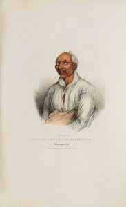 SHOUNK-CHUNK Czarny Wilk; Wódz Winnebago, z Portfolio Aborygenów autorstwa James Otto Lewis