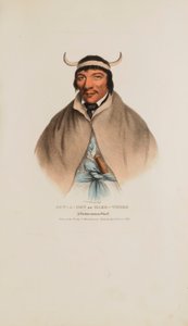SUN-A-GET lub Ciężkie czasy; Wódz Pottawatomie, z Portfolio Aborygenów autorstwa James Otto Lewis
