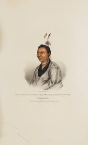 TOO-SHA-NA-GAN-KA lub Mała Wydra; Wódz Winnebago, z Portfolio Aborygenów autorstwa James Otto Lewis