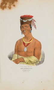 WAA-BIN-DE-BA lub Orzeł Białogłowy; Wódz Chippeway, z aborygeńskiego portfolio autorstwa James Otto Lewis