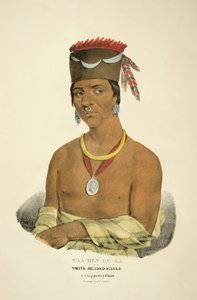 Waa-bin-de-ba lub Orzeł Białogłowy autorstwa James Otto Lewis