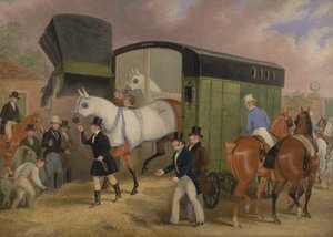The Derby Pets: The Arrivalpolish autorstwa James Pollard